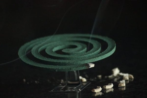 Comment éviter les moustiques le soir ?